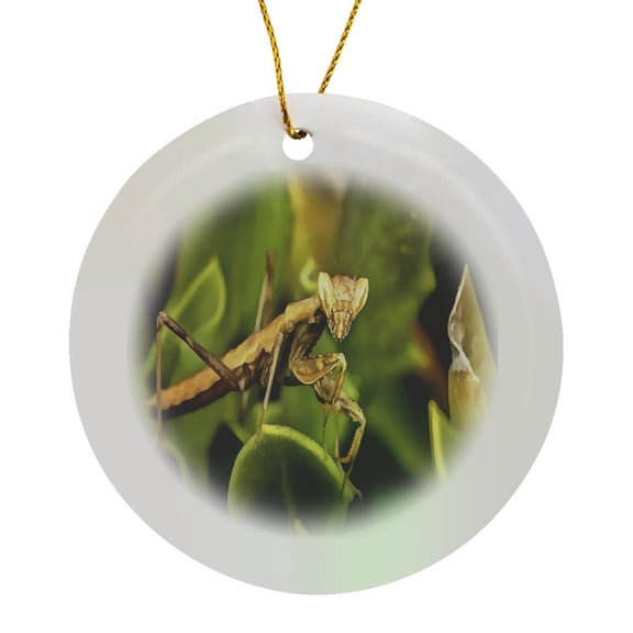 3drose, Praying Mantis on Green Garden Background, Circle Porcelain Ornament