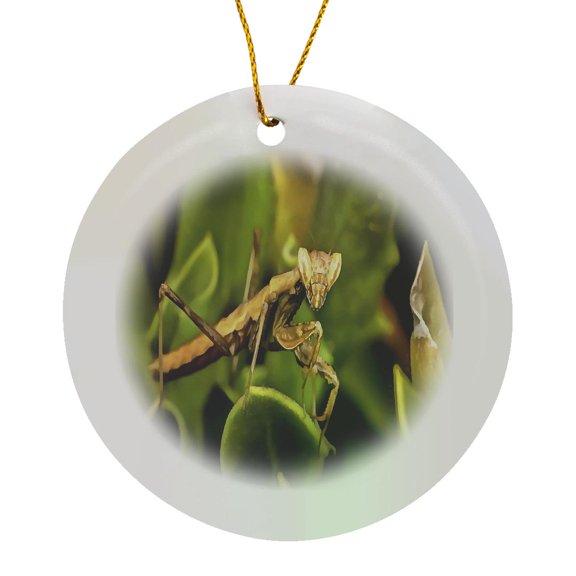 3drose, Praying Mantis on Green Garden Background, Circle Porcelain Ornament