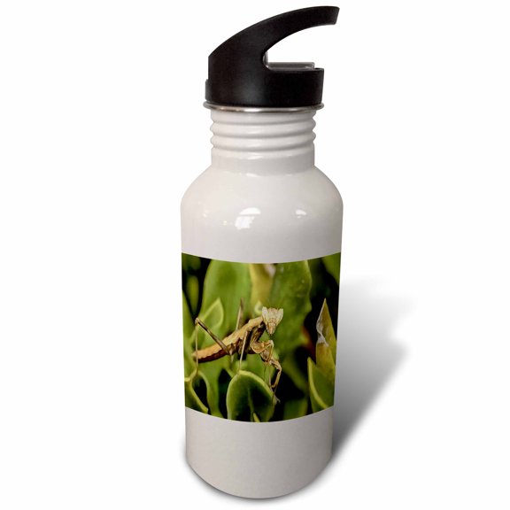 3dRose, Praying Mantis On Green Garden Background, Flip Straw 21oz Water Bottle