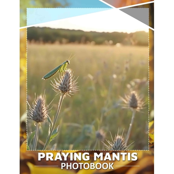 Praying Mantis Photo Book: Explore Nature's Intriguing Predator Through 40 Stunning Images Of This Unique Insect, (Paperback)