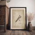 Prying Insect Praying Mantis Poster, Moody Insect, Dark Cottagecore Academia, Vintage ...