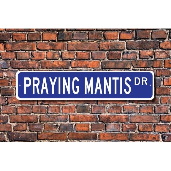 Praying Mantis Praying Mantis Gift Praying Mantis Sign Praying Mantis decor Praying Mantis lover Metal Aluminum Sign - Size: 16 x 4 Inches
