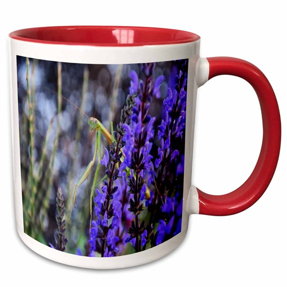 3drose, Praying Mantis Sitting in Blue Flowers, 11oz Two-tone Red Mug