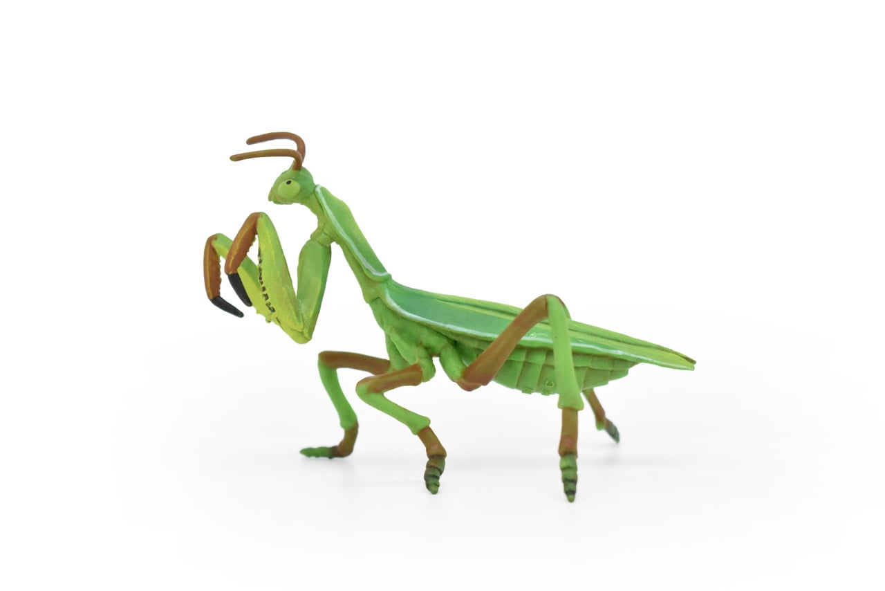 Praying Mantis Toy Animal, Realistic Rubber Replica, Hand