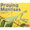 thumbnail image 1 of Pre-Owned Praying Mantises (Pebble Plus: Bugs, Bugs, Bugs) (Paperback) 0736850988 9780736850988, 1 of 1