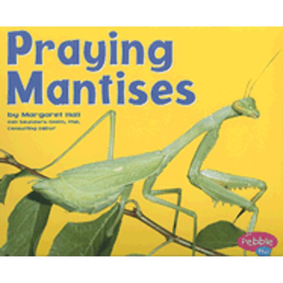 Pre-Owned Praying Mantises (Pebble Plus: Bugs, Bugs, Bugs) (Paperback) 0736850988 9780736850988