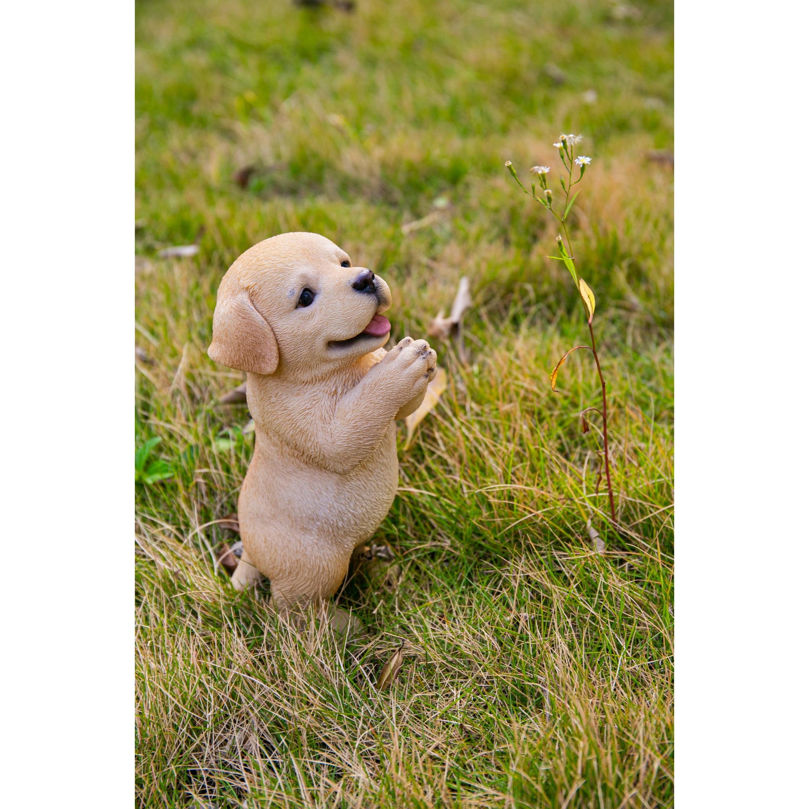 Praying Yellow Labrador Puppy Resin Statue