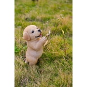 Praying Yellow Labrador Puppy Statue