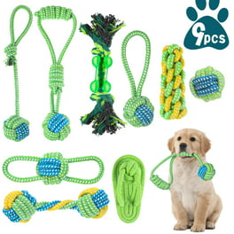 https://i5.walmartimages.com/seo/Prdigy-9-PCS-Dog-Rope-Toys-Small-Medium-Dogs-Indestructible-Aggressive-Chewers-Cotton-Best-Teething-Puppies-Tug-Of-War-Toy-Dogs_5e3d79a8-5a7a-4ccb-bfcb-1c7884311fda.94923639f9b64c87635be21ddbdfb7fe.jpeg?odnHeight=264&odnWidth=264&odnBg=FFFFFF