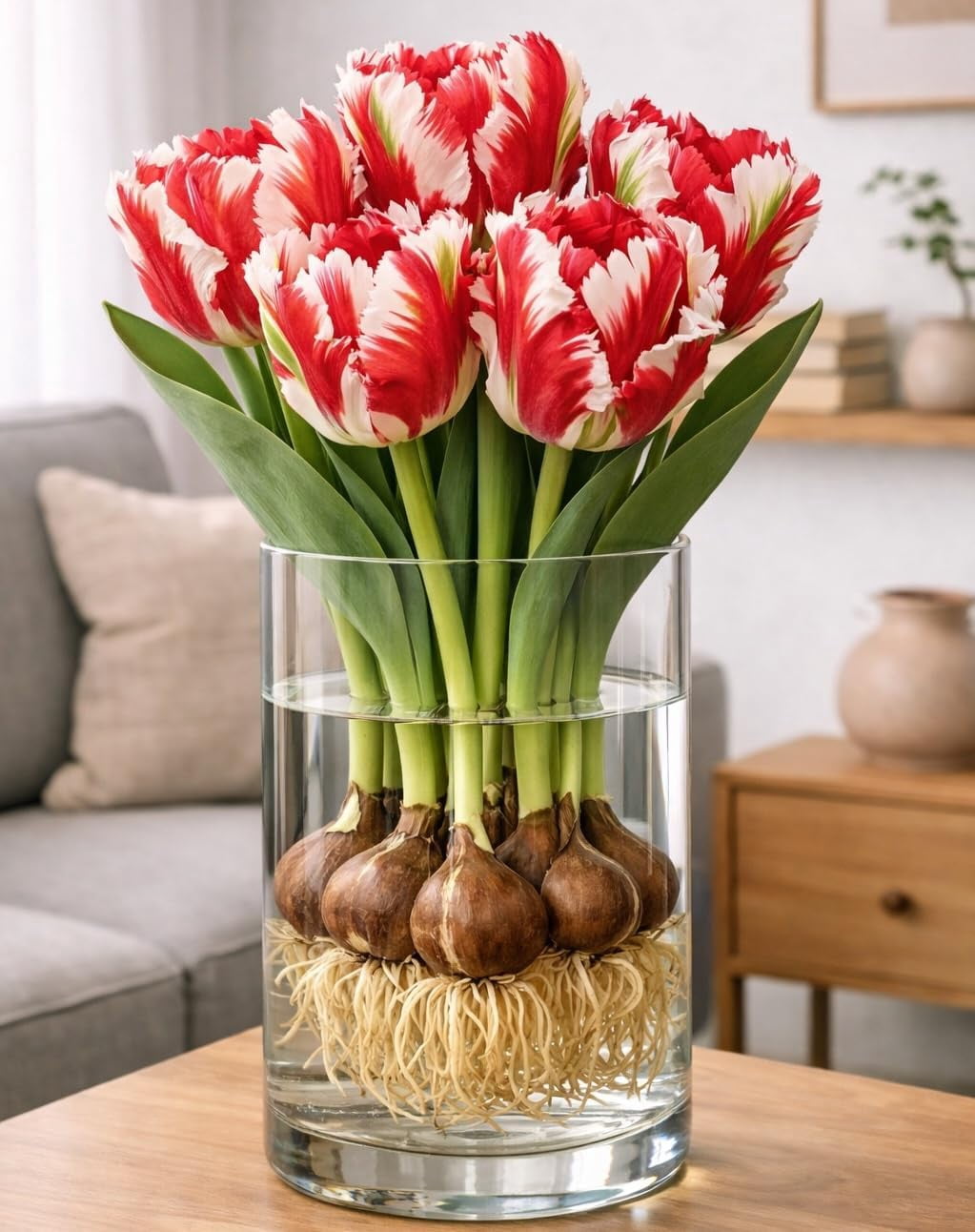 Bulbs For Forcing Inside