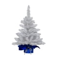 thumbnail image 1 of Pre-Lit 2' Table Top Artificial Christmas Tree with 35 Lights in Blue Sac, White, 1 of 3