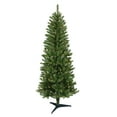 thumbnail image 1 of Pre-Lit 4' Carson Pine Artificial Christmas Tree with 70 Lights, Green, 1 of 4