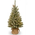 PreLit Artificial Mini Christmas Tree, Includes White LED Lights and