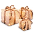 thumbnail image 1 of Pre-Lit White Sisal Gift Box Assortment, 1 of 4
