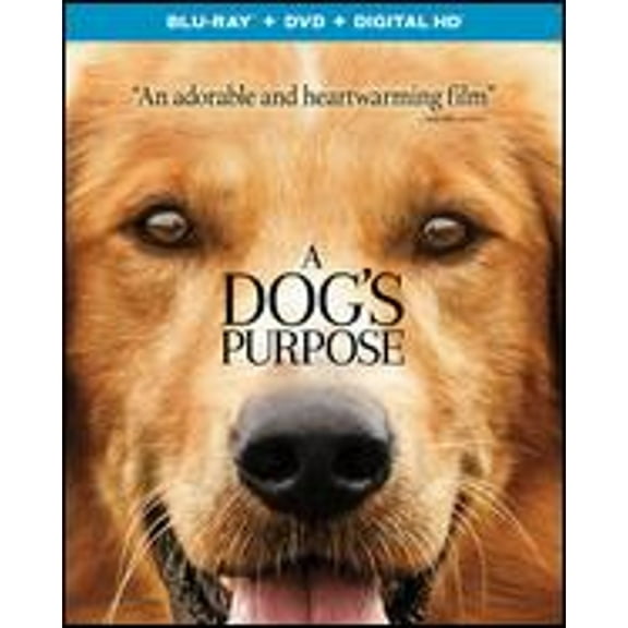 Pre-Owned A Dog's Purpose [Blu-ray/DVD] [2 Discs] (Blu-Ray 0025192395581) directed by Lasse Hallström
