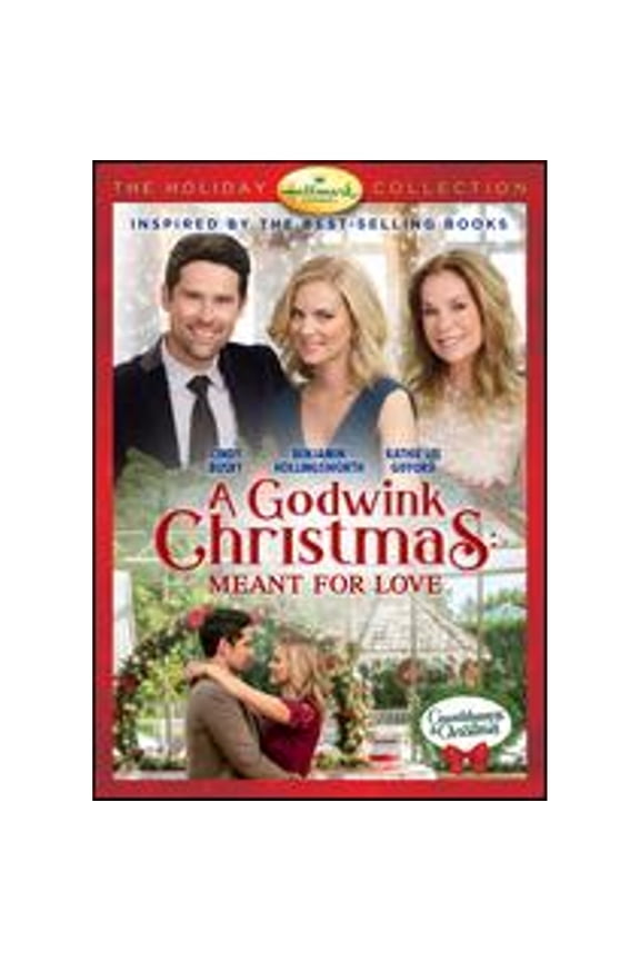 Pre-Owned A Godwink Christmas: Meant for Love (DVD 0767685164266) directed by Paul Ziller