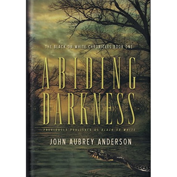 Pre-Owned Abiding Darkness (The Black or White Chronicles Series) (Hardcover) 0446579491 9780446579490