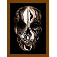 thumbnail image 1 of Pre-Owned Alexander McQueen: Savage Beauty (Hardcover) 0300169787 9780300169782, 1 of 1
