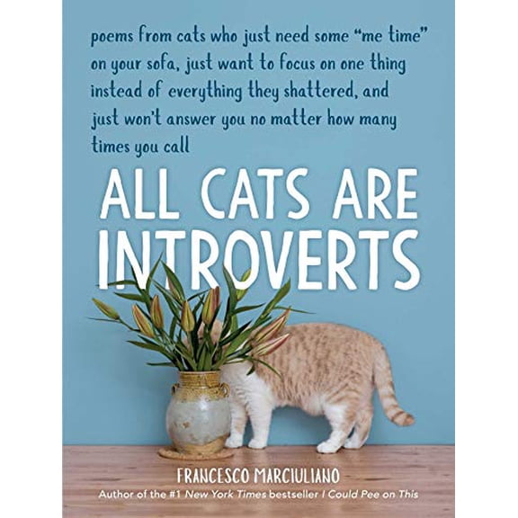 Pre-Owned All Cats Are Introverts, 9781449495633, 144949563X, Hardcover,