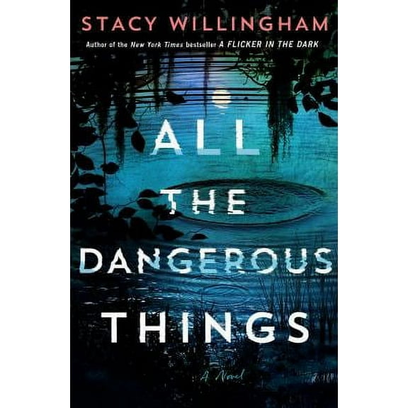 Pre-Owned All the Dangerous Things : A Novel 9781250803856