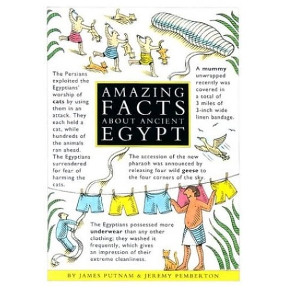 Pre-Owned Amazing Facts about Ancient Egypt (Beginner's Guides (INST Publishing)) Paperback
