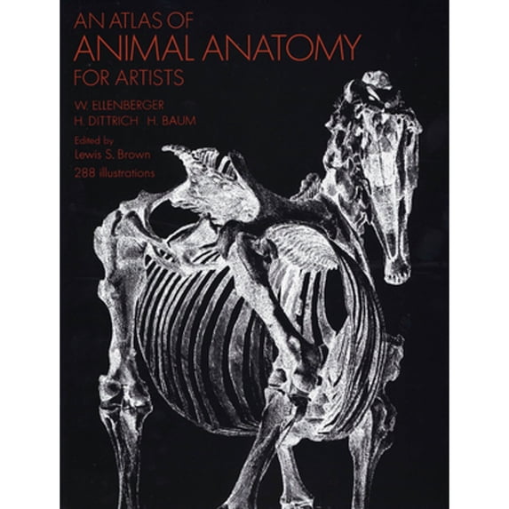 Pre-Owned An Atlas of Animal Anatomy for Artists (Paperback 9780486200828) by W Ellenberger, Francis A Davis