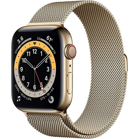 Restored Apple Watch Series 6 (GPS   LTE) 44mm Gold Stainless Steel Case & Gold Milanese Loop (Refurbished)