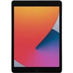 Pre-Owned Apple iPad 8th Gen , Up to 10 Hours of Battery Life - 128GB Space Gray (Good)