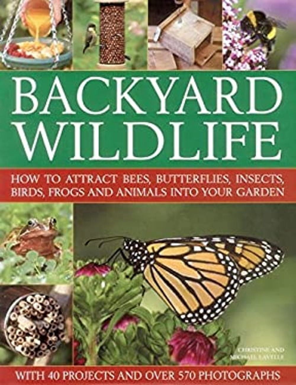 PreOwned Backyard Wildlife How to Attract Bees, Butterflies, Insects