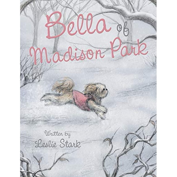 Pre-Owned Bella of Madison Park Paperback