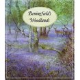 thumbnail image 1 of Pre-Owned Beningfield's Woodlands Paperback, 1 of 1