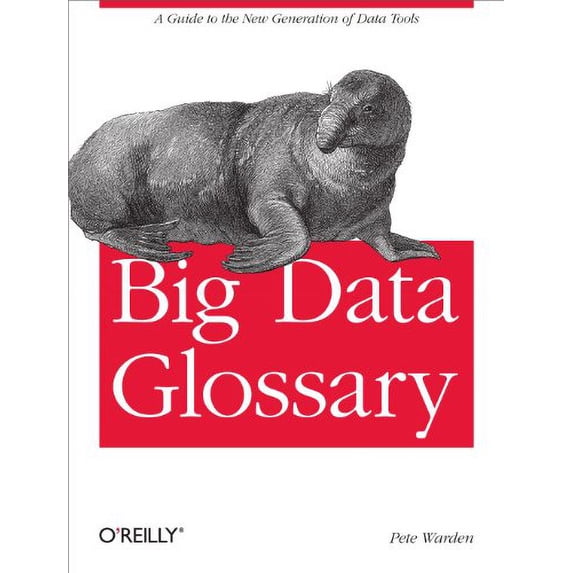 Pre-Owned Big Data Glossary: A Guide to the New Generation of Data Tools Paperback