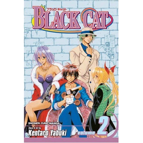 Pre-Owned Black Cat: v. 2 (Black Cat (Viz)) Paperback