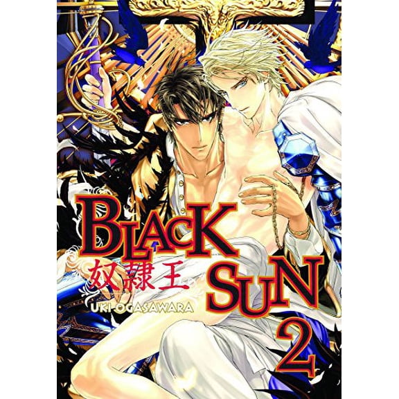 Pre-Owned Pre-Owned Black Sun Volume 2 (Yaoi) Paperback