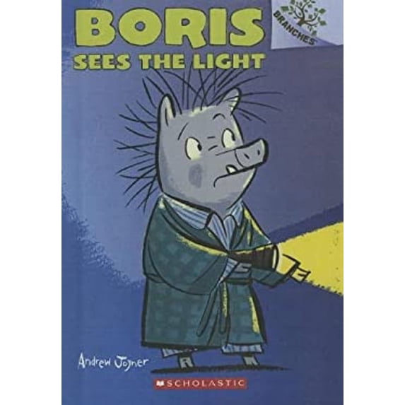 Pre-Owned Boris Sees the Light (Library Binding) 9780606323635