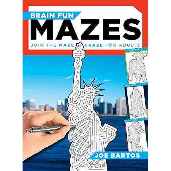 Pre-Owned Pre-Owned Brain Fun Mazes: Join the Maze Craze for Adults! Paperback