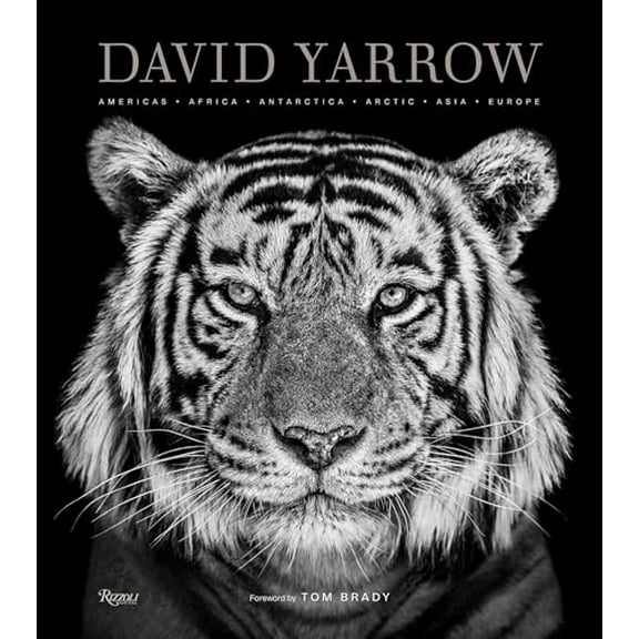 Pre-Owned David Yarrow Photography: Americas Africa Antarctica Arctic Asia Europe, 9780847864775, 0847864774, Hardcover, First Edition ~1st Printing edition