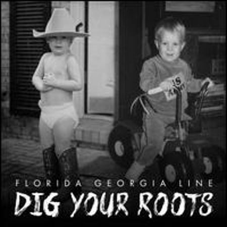 Pre-Owned Dig Your Roots (CD 0843930024810) by Florida Georgia Line