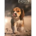 thumbnail image 1 of Pre-Owned Dogs Paperback - USED, 1 of 1