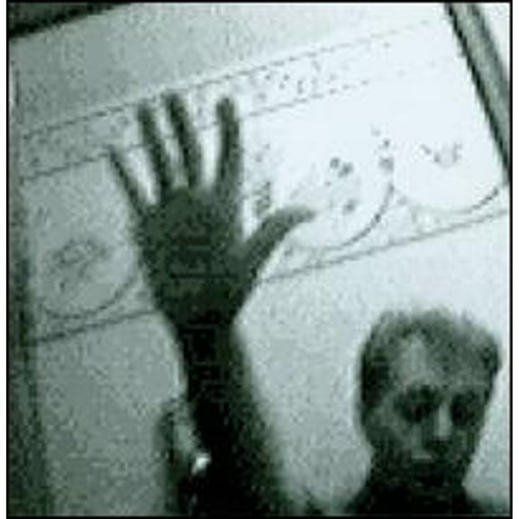 Pre-Owned Driving Rain (CD 0724353551025) by Paul McCartney