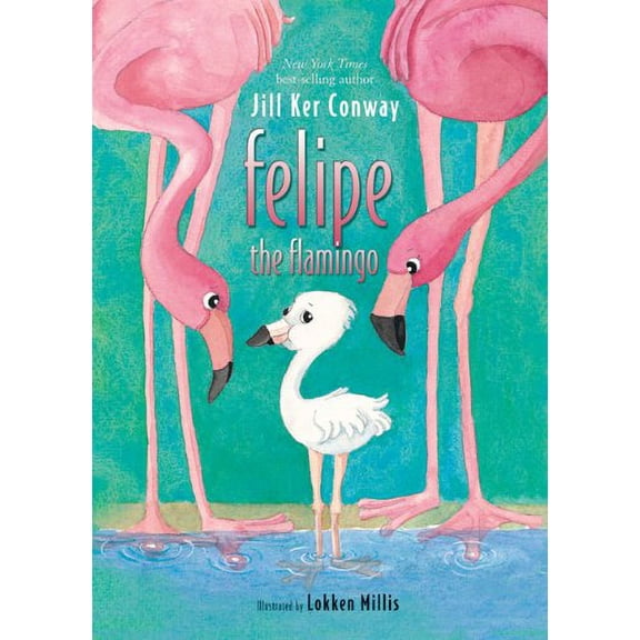 Pre-Owned Pre-Owned Felipe the Flamingo Paperback