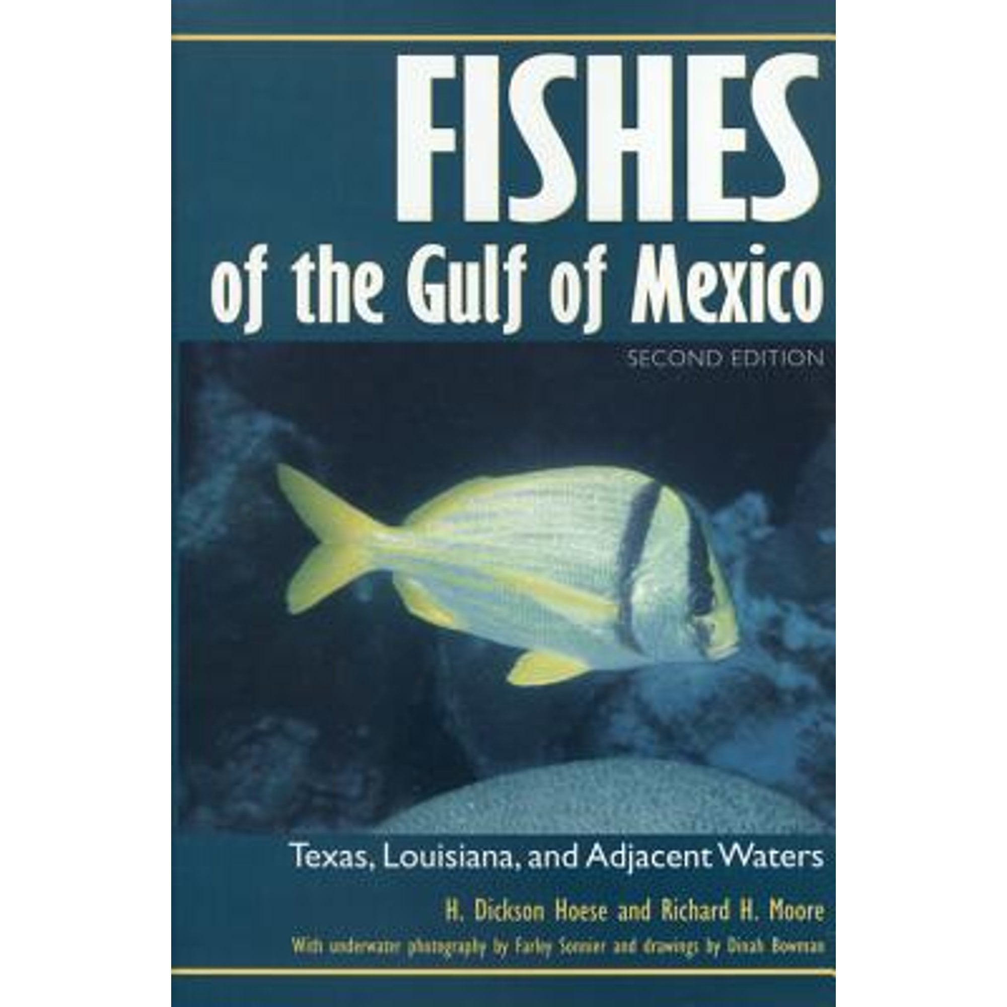Pre-Owned Fishes of the Gulf of Mexico: Texas, Louisiana, and Adjacent Waters, Second Edition Volume 22 (Paperback) 0890967679 9780890967676
