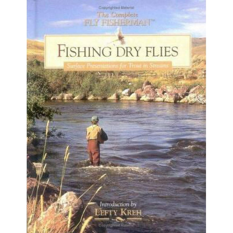 Pre-Owned Fishing Dry Flies (Hardcover) 0865730741 9780865730748 