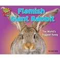 thumbnail image 1 of Pre-Owned Flemish Giant Rabbit: The World's Biggest Bunny (Library Binding) 1617727296 9781617727290, 1 of 1