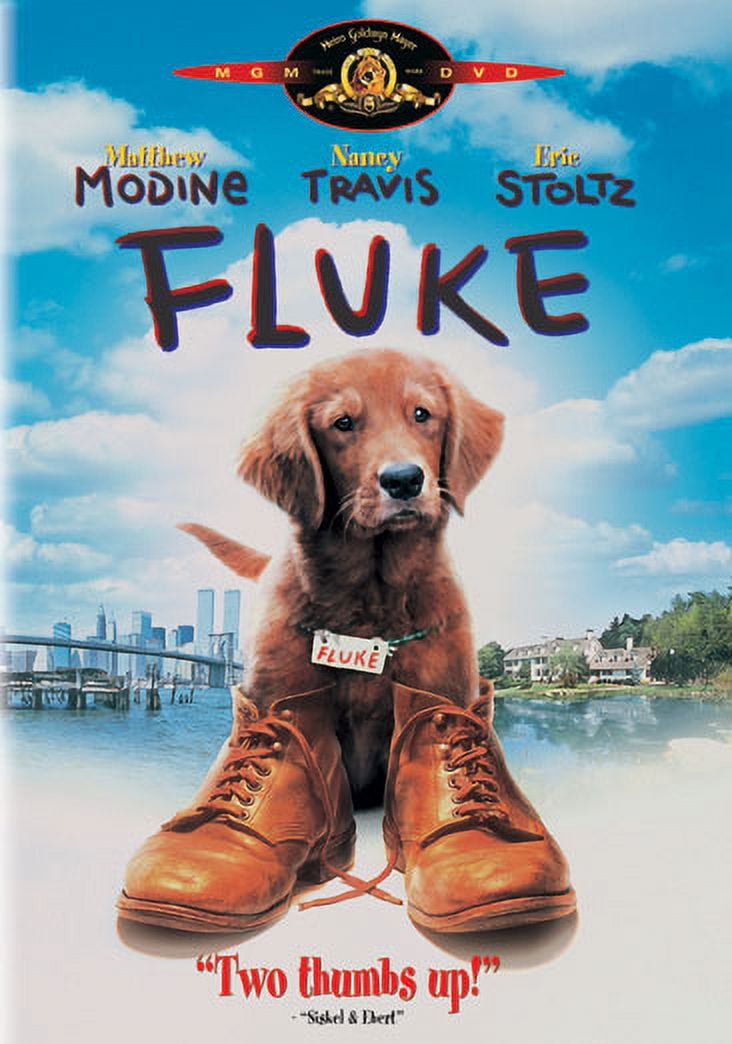 Pre Owned Fluke Dvd Good Walmart