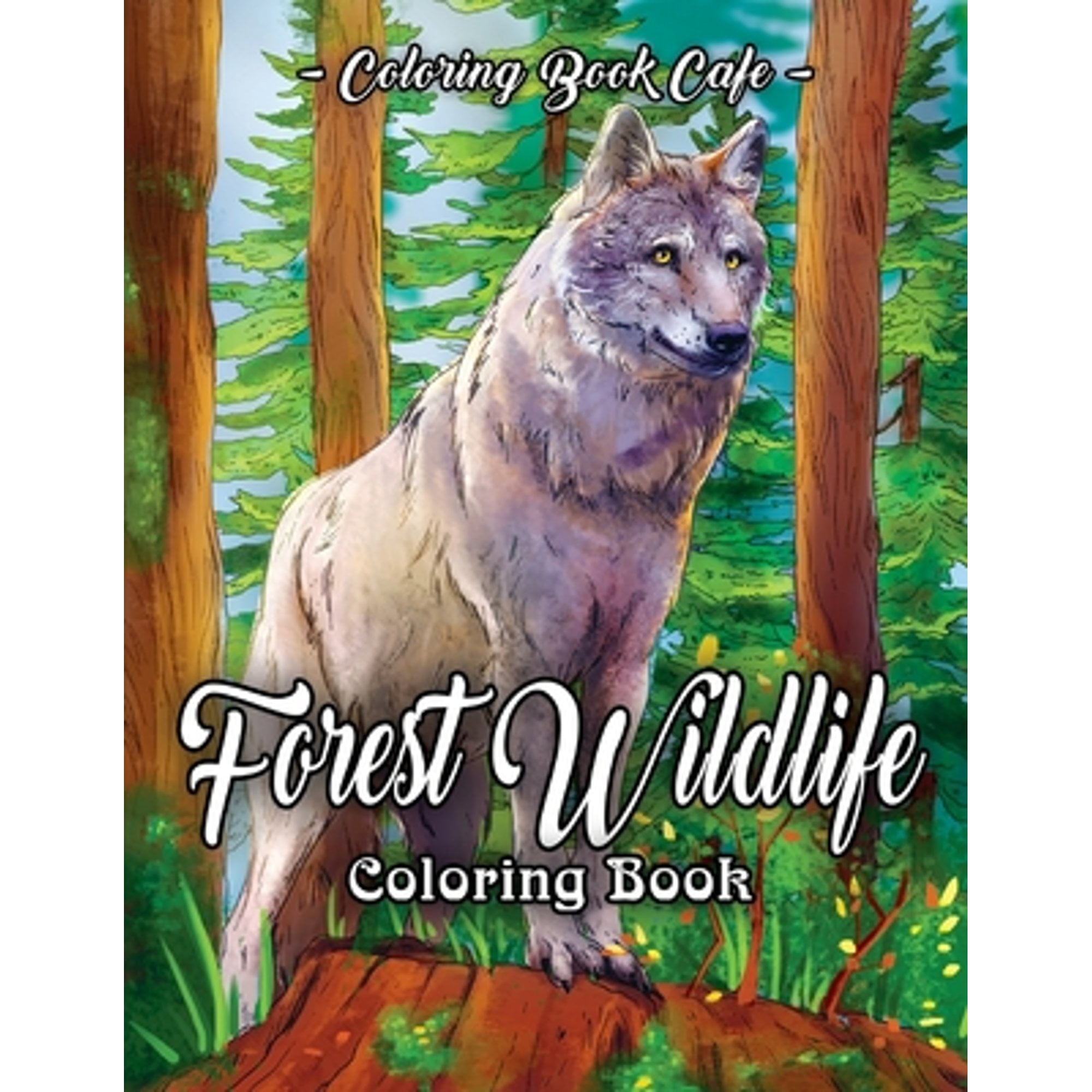 Pre-Owned Forest Wildlife Coloring Book: An Adult Coloring Book ...
