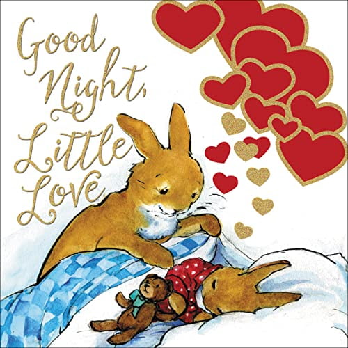 Pre-Owned Good Night, Little Love (Board book) 0718034678 9780718034672