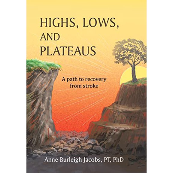 Pre-Owned Highs, Lows, and Plateaus: A Path to Recovery from Stroke Hardcover