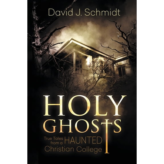 Holy Ghosts: True Tales from a Haunted Christian College (Paperback) by David J Schmidt