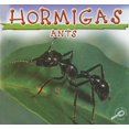 thumbnail image 1 of Pre-Owned Hormigas: Ants (Biblioteca Del Descubrimiento De Los Insectos/insects Discovery Library) Paperback, 1 of 1